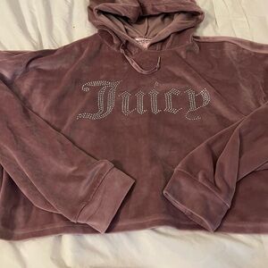 Juicy Couture Plush Velour Hoodie in Mauve